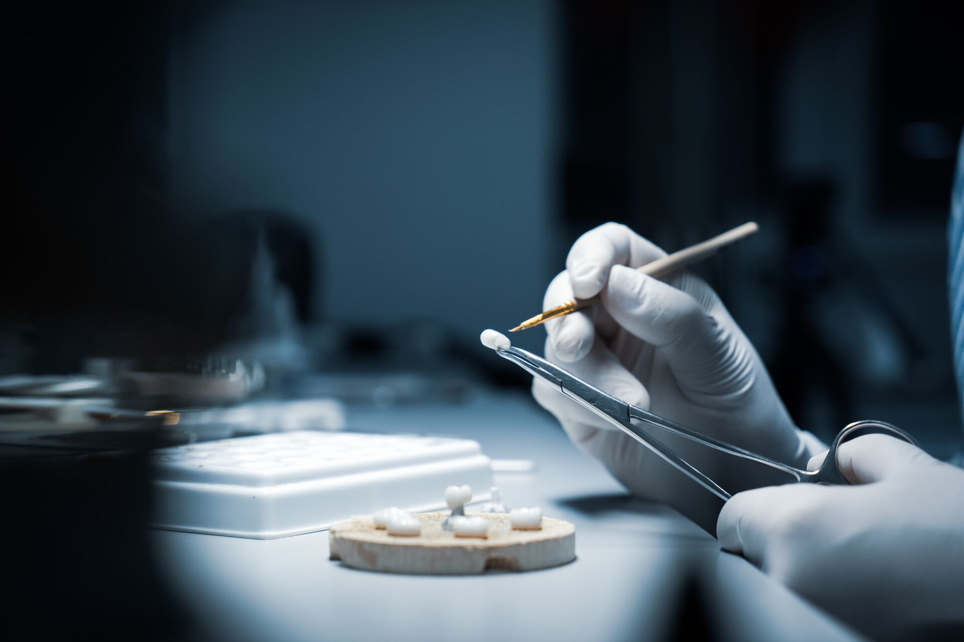 Zahntechnik & Dentallabor der ZMK Dresden